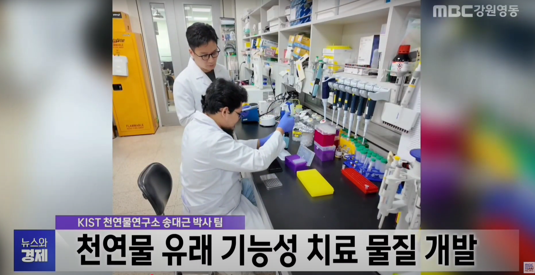 KIST 천연물연구소 송대근 박사 팀 : 천연물 유래 기능성 치료 물질 개발 - mbc 강원 영동 뉴스와 경제